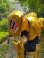 画像12: 仮面ライダービルド 仮面ライダーグリス  風 コスプレ衣装 