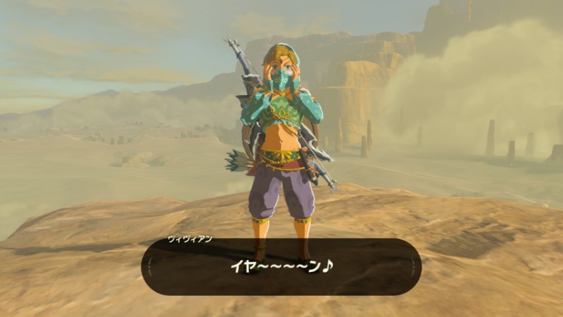 ゼルダの伝説 ブレス オブ ザ ワイルド breath of the wild リンク砂漠婦人服  風 コスプレ衣装