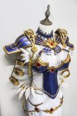 画像2: Fate/Grand Order シェヘラザード     Shéhérazade  風衣装